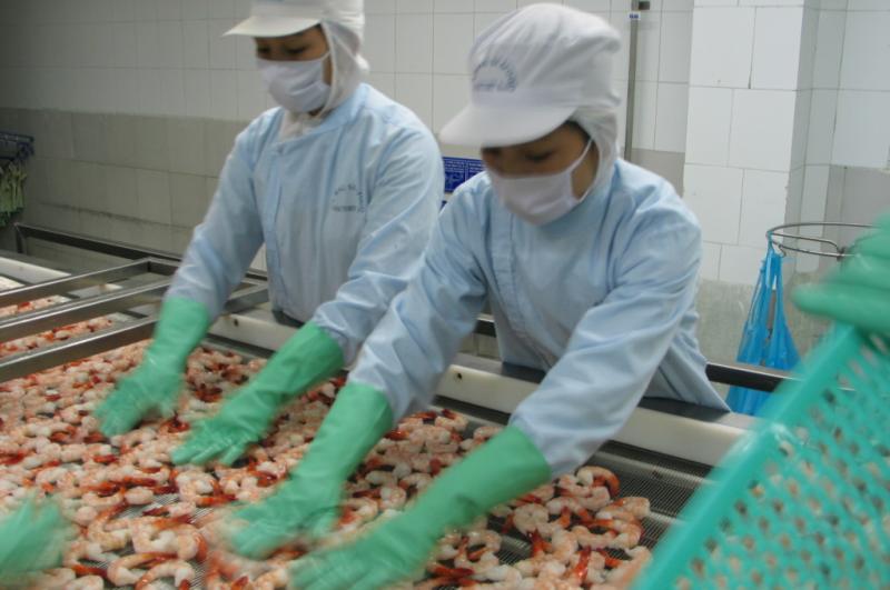 The first seafood shipment to EU granted e-certificate